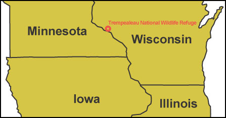 Trempealeau National Wildlife Refuge in Wisconsin, near Minnesota, Iowa, and Illinois.