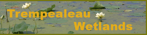 Trempealeau Wetlands